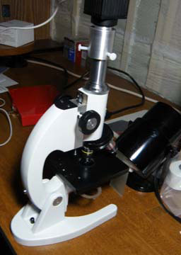 Diatom with Cheap Microscope