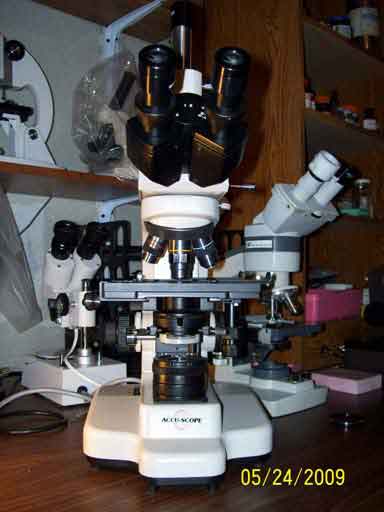 Accuscope 3015 Microscope